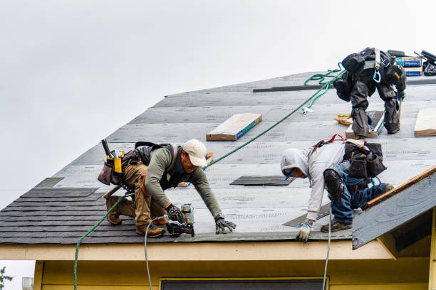Professional Gutter Installation technician working in Fred, TX